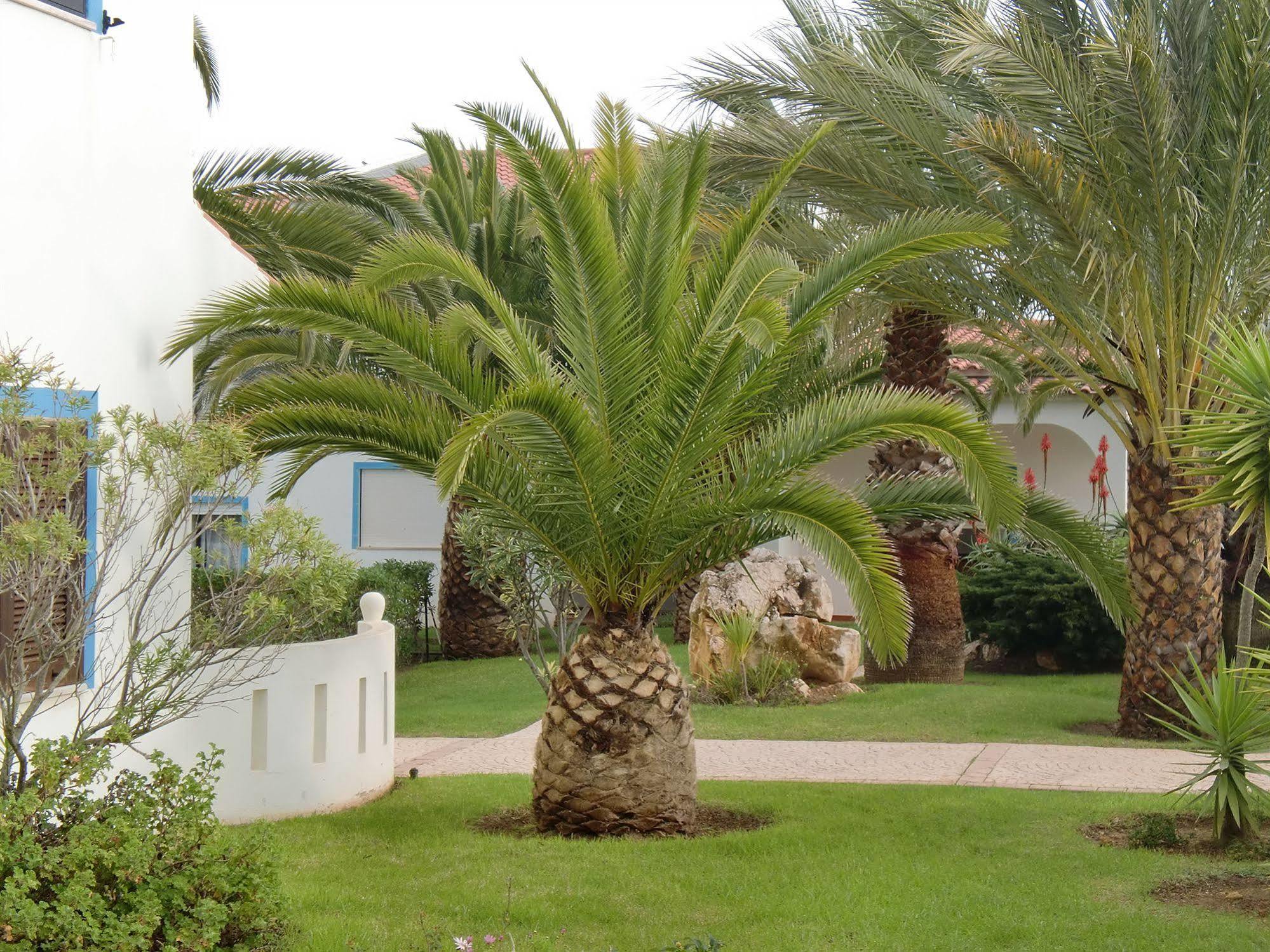 Ponta Grande Carvoeiro Hotel Carvoeiro  Exterior photo